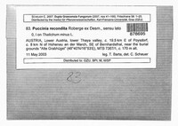 Puccinia recondita image